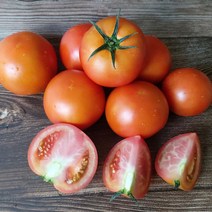 강원도 정선 민둥산 고랭지 토마토 5kg 10kg 유럽종 완숙토마토 요리용 쥬스용, 토마토 10kg, 1개