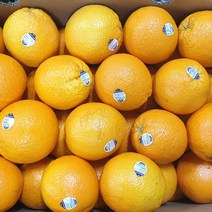 남아공 발렌시아오렌지 72입 (대과200g내외 72과)