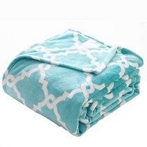 Chezmoi Collection Trellis Capri Printed 마이크로파이버 플란넬양털블랭킷- Super 소프트Cozy 가벼운 Bed 블랭킷- Twin Size, 트렐리스 카프리_쌍