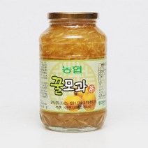 모과청 고흥 사양벌꿀 농협 모과차 1kg 몸에좋은물 꽃차, 꿀모과차 1kg x 12병