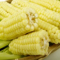 괴산대학찰옥수수냉동, 30개, 선별한 생물옥수수_선물용특품