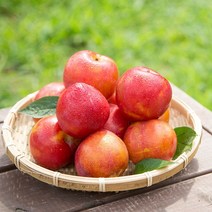 새콤달콤 자두 5kg 중과, 없음