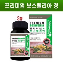보스웰리아 정 1000mg 보스웰리아환 알약형 캡슐 인도산 관절 연골 보스웰리아원물 추출물 가루 성분 보스웰릭산 초록입홍합 상어연골 NAG 효능 HACCP 인증, 1. 내추럴 프리미엄 보스웰리아 6개월