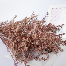 프리저브드플라워 프리저보드플라워박스 디퓨저 돔 미니 재료 30 35g 마른 연인 잔디, 30-35g 및