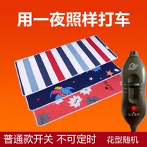 12V 전기장판 DC 캠핑 전기매트 차박 캠핑 카라반 2인용 시가잭, C + 150x70cm