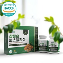 보스웰리아 보스웰릭산 상어연골 초록홍합 해조칼슘 우슬 비타민 미네랄, 2통