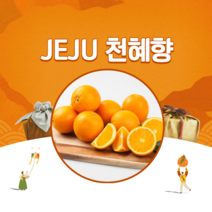 제주도 천혜향 가정용 못난이 5kg 10kg, 실속형10kg
