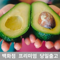 [특등급선별] 아보카도 2.5kg 과일 아보카도요리 아보카도오일 아보카도효능 아보카도먹는법 제철과일 새벽배송 겨울과일 열대과일 아보카도오일효능 아보카도유 아보카드 아보카도오일먹는법