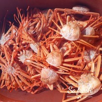 내고향푸드 국내산 연지홍게 대게 10~11미, 고급형10~11미