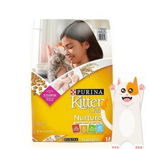 퓨리나 키튼차우 6.35kg 임신수유묘와 아기고양이용 고양이 건식 사료, 단품, 단품