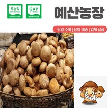 무농약인증 GAP인증 생표고버섯 동고 중품 (가정용) 추천, 1개, 4kg