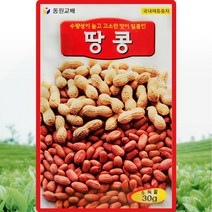 동원 땅콩 씨앗 땅콩 씨 종자 30g, 단품