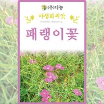 패랭이꽃 씨앗 패랭이 씨 야생화 꽃 종자 400립, 1개