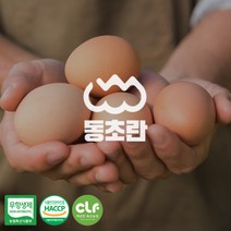 프리미엄 동초란 40구