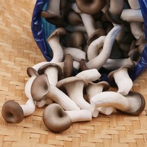 느타리버섯 1kg 팔팔마켓 국내산 생 느타리 버섯, 1개