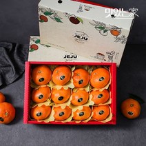맛있는 자연맛남 제주직송 레드향 선물세트, 06. 레드향선물세트4.5kg(23과내외)