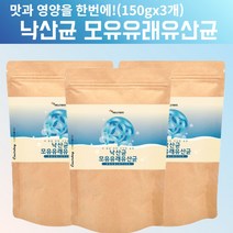 낙산균 모유유래 유산균 150g 3묶음 뷰티르산 미야이리 유산균 프락토올리고당 유산균배양 돌아기 22개월 6개월아기 신생아 7개월아기 초등학생 5살 6살 식물유래 김치 유래 유산균, 450g, 3