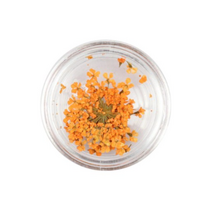 투톤 레이스 드라이플라워 네일 생 압화, No04 오렌지, 1개