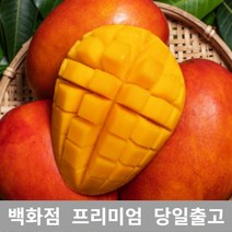 애플망고 2kg 애플망고 쥬스 대용량 과일 열대 망고, 1, 본상품선택