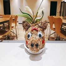 돼지 토피어리재료 미니화분 체험학습 공기정화, 쥐돌이
