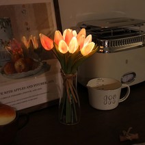 [에타홈] 핑크 튤립 부케 LED 무드등 비아케이스튜디오 꽃조명 조화
