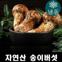진심좋은 자연산 냉동 송이 버섯 자연 송이버섯 1kg, 1box, 1등급 1kg