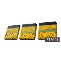 사진 한장을 액자 3개로 만든 3분할 캔버스액자, STF001