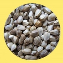 잉글랜드 유황홍화씨 볶은 토종 홍화 홍아 씨 600g, 1개