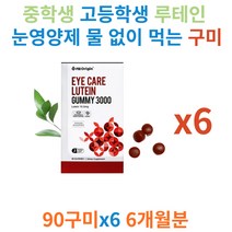 중학생 고등학생 루테인 눈영양제 물 없이 먹는 구미 청소년 수험생 장기간 공부 물 없이 간편 섭취 젤리 건강기능식품 눈 건강 눈에 좋은 영양제 블루베리 라즈베리 딸기 사과 농축 주스