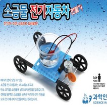소금물 전기자동차 만들기, 단품