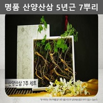 산삼 산양삼 산양산삼 양삼 심봤다 5년근7뿌리 고급선물