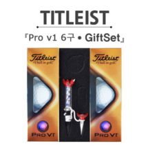 타이틀리스트 Pro V1 6구 골프공 자석티 선물 세트, FREE FREE