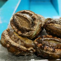 남해 공식 해녀가 직접 잡은 자연산 전복, 소 / 2kg / 18-20마리