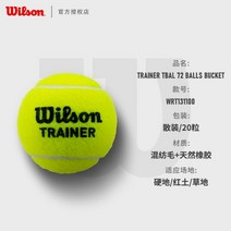 윌슨테니스공 테니스공 듀티 테니스볼 엑스트라 스탠다드 챔피언쉽 공인구 테니스 Wilson테니스공, 05