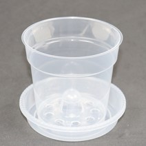 사이언쌤 투명화분