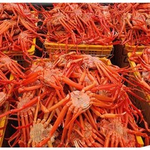 국내산 홍게 울진 동해바다 산지직송 국내 심해 홍게 8미 소자 중자 대자 자숙홍게 3kg, 홍게 6미 대자 2.5kg (수율 85%)