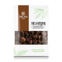인차 국내산 개다래열매 충영 목천료 300g, 단품없음