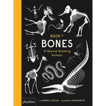 Book of Bones:10 Record-Breaking Animals, Phaidon Press
