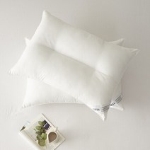 SESA 뉴컴퍼터블2 경추베개솜 40X60, 없음