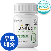 HACCP 인증 관절 연골 건강 인도산 보스웰리아 정 보스웰릭산 원물 보스엘리아 햇썹 인정 영양제, 2개, 60정