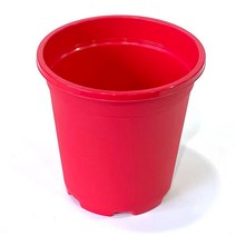 [짱짱마켓] 재배분DS180 플라스틱화분 모종 분갈이흙, 빨강