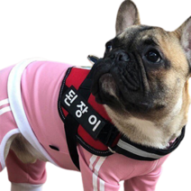 강아지 이름표 하네스 HARNESS L8814, 핑크