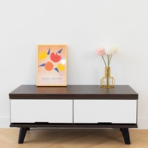 리더스가구 800 서랍장 TV대 거실장, 서랍 TV대-월낫화이트