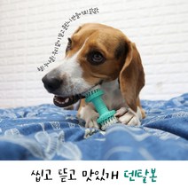 반려동물 강아지 덴탈본 펫 장난감 잇몸질환 치석 감소 구취 입냄새 제거, 댕댕이 덴탈본 2개