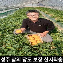 성주 참외 산지직송 가정용 대과 중과 중소과 2kg 3kg 5kg 10kg, 가정용중과