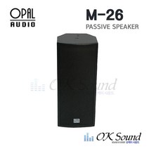 M-26 패시브스피커 RMS100W 16옴 듀얼 6.5인치 라우드스피커 1통 교회스피커 회의실스피커, M-26 (B)