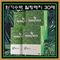 [2+2] 원기수액 힐링패치 목초시트 휴족패드 발바닥 패치 30매 4박스