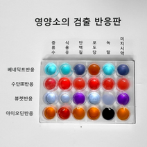 영양소검출 반응 실험키트 (2인 또는 4인1조 실험)