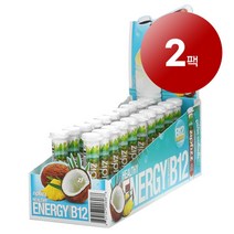 와와마켓 Zipfizz Healthy Energy Vitamin B12 Pina Colada 헬시 에너지 비타민12 함유 피나 콜라다 맛 11g 20개입 1팩, 2팩