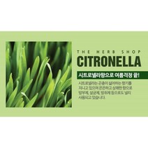 (온유)애니멀 LED 모기퇴치 시계형 밴드 시트로넬라 아로마 구성품